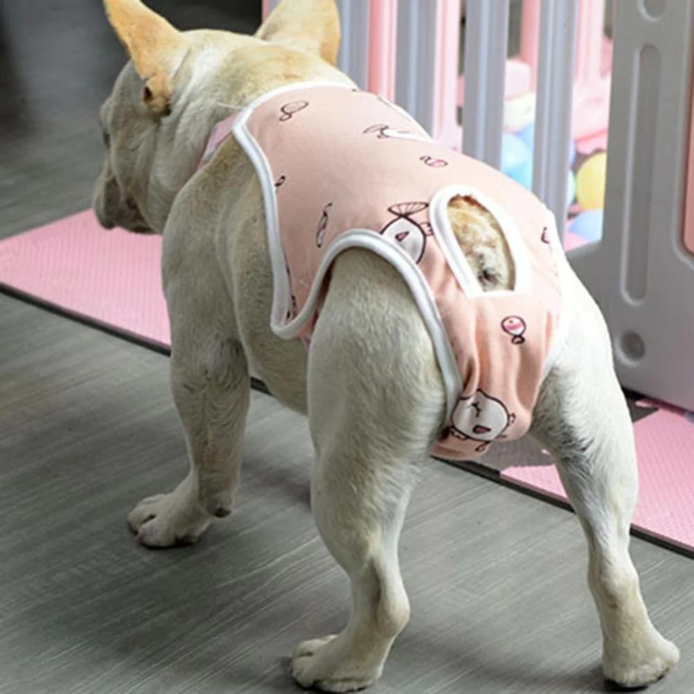 Post-Surgery - Dog Recovery Suit