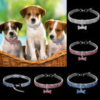 Premium Pet Collar - Bling It On