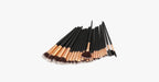 24-piece Pro Black Brush Set