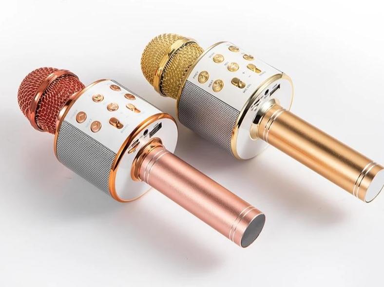 Nolae - Bluetooth Karaoke Microphone
