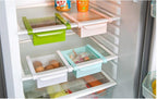 Slide Shelf Refrigerator Organizer