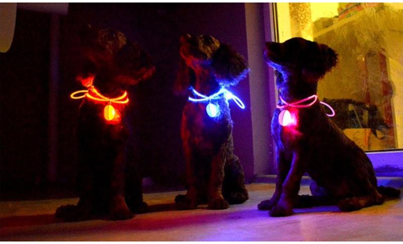 LED Flash Dog Collar Pendant