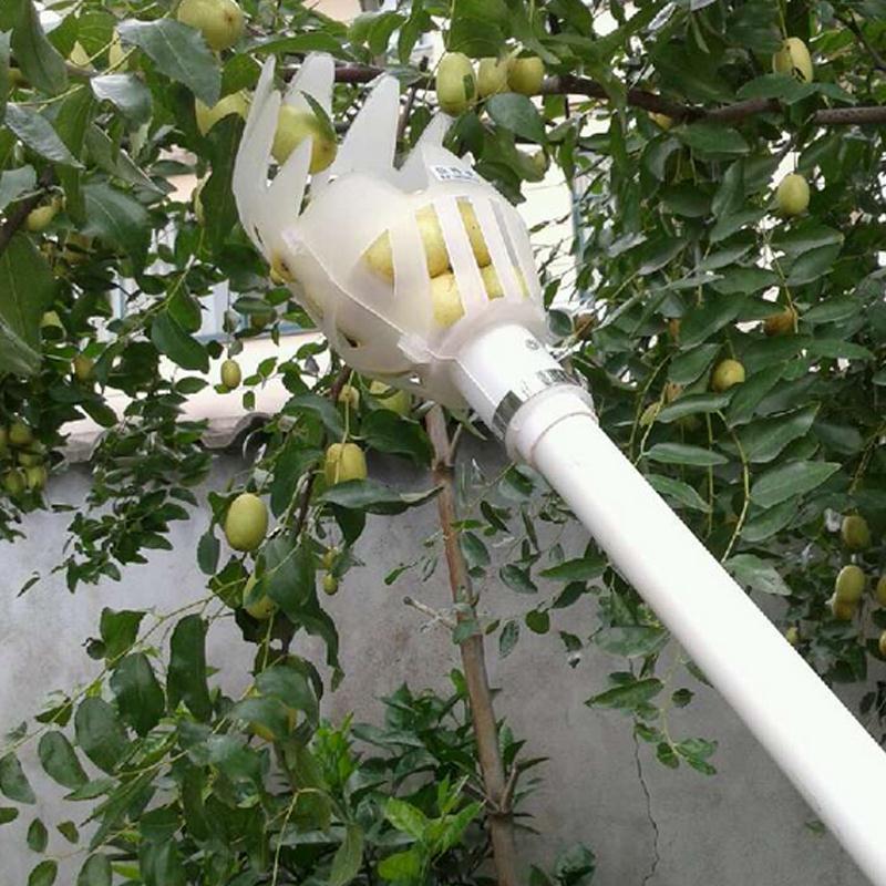 Fruit Picker & Catcher Garden Tool