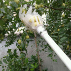 Fruit Picker & Catcher Garden Tool