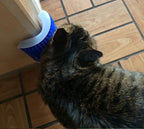 KittyRub - Cat Massage Comb
