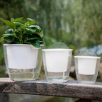 InstanWater - Self Watering Hanging Planter