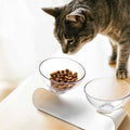 Raised Small Pet Bowls