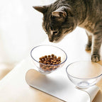 Raised Small Pet Bowls