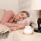 Lotiscent | Ceramic Lotus Aroma Humidifier – Ultrasonic Essential Oil Diffuser for Relaxation & Wellness