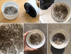 Chemical-free mosquito protection