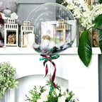 Transparent Bobo Bubble Balloons (10PCS)