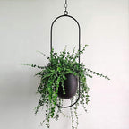 FloraFrame – Elegant Metal Plant Holder for Wall or Ceiling