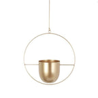Wall Hanging Metal Plant Holder – FloraFrame