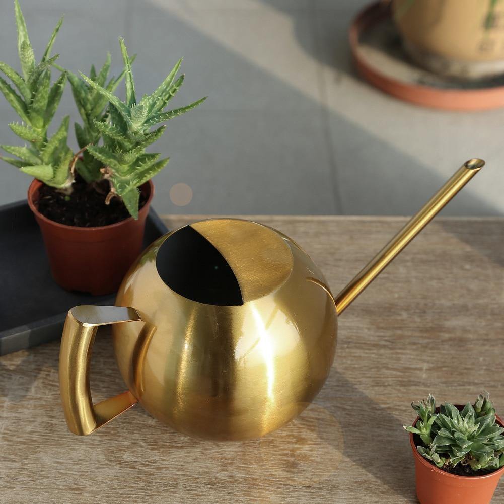 Elegant Watering Can for Precise Watering
