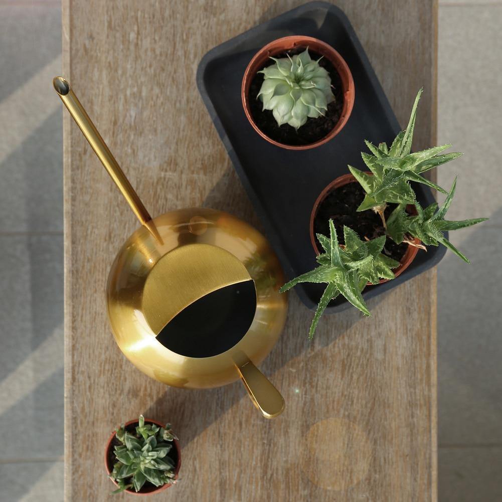 Elegant Watering Can for Precise Watering