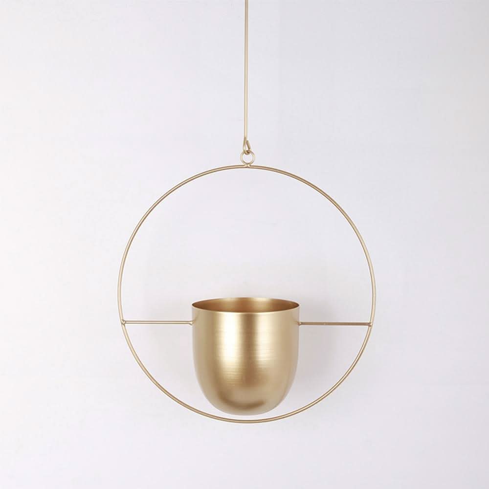 Wall Hanging Metal Plant Holder – FloraFrame