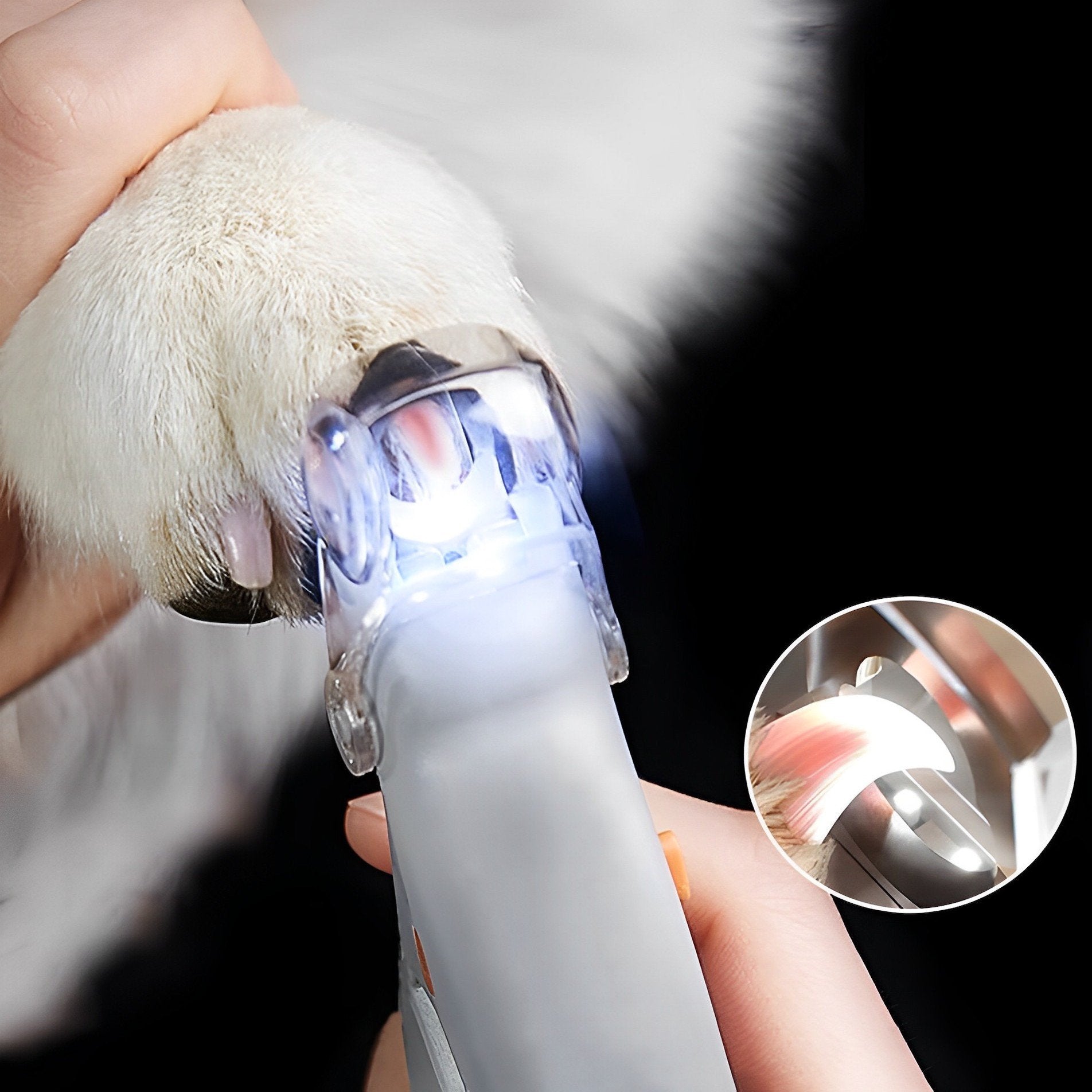 Nail clipper for dogs | Safe toenail clipper
