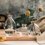TrioVase Glass Vases Set | Stylish Design | Perfect Decoration | Available in various colors