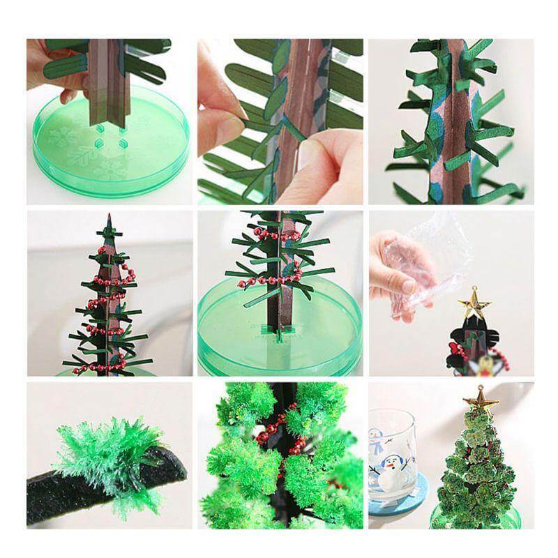 DIY Magic Growing Christmas Tree