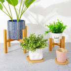 BambooElevate Plant Stand made of bamboo wood | Adjustable & Stable | Perfect for indoors