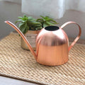 AquaGrace Stainless Steel Watering Can with Flexible Neck | Modern Design | Perfect Watering | Rustproof