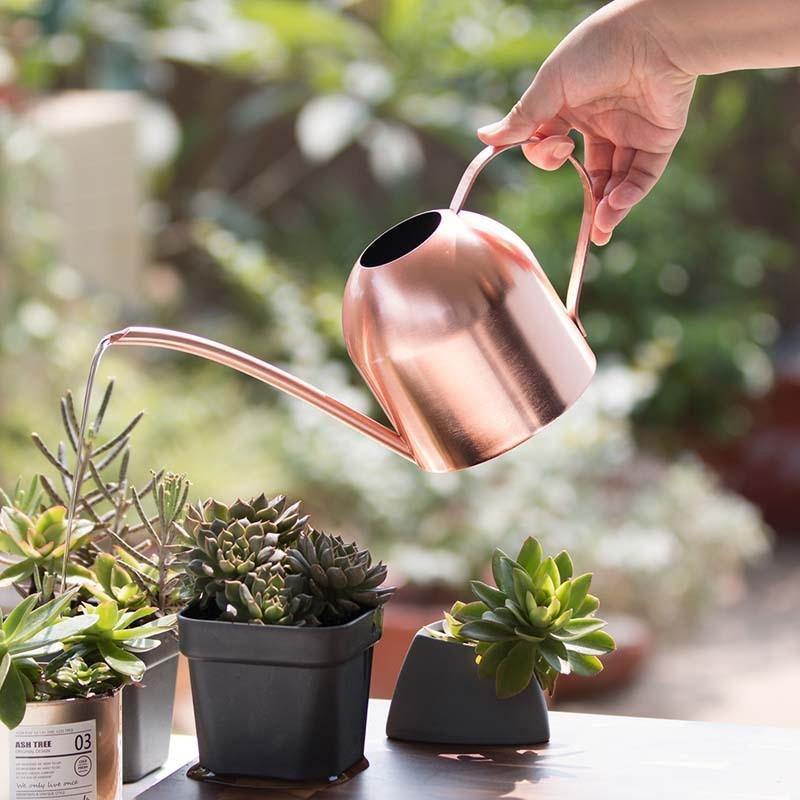 Stainless Steel Watering Can with Flexible Neck | Modern Design | Perfect Watering | Rustproof