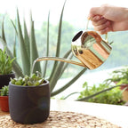 Stainless Steel Watering Can with Flexible Neck | Modern Design | Perfect Watering | Rustproof