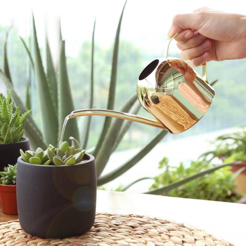 AquaGrace Stainless Steel Watering Can with Flexible Neck | Modern Design | Perfect Watering | Rustproof