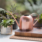 Stainless Steel Watering Can with Flexible Neck | Modern Design | Perfect Watering | Rustproof