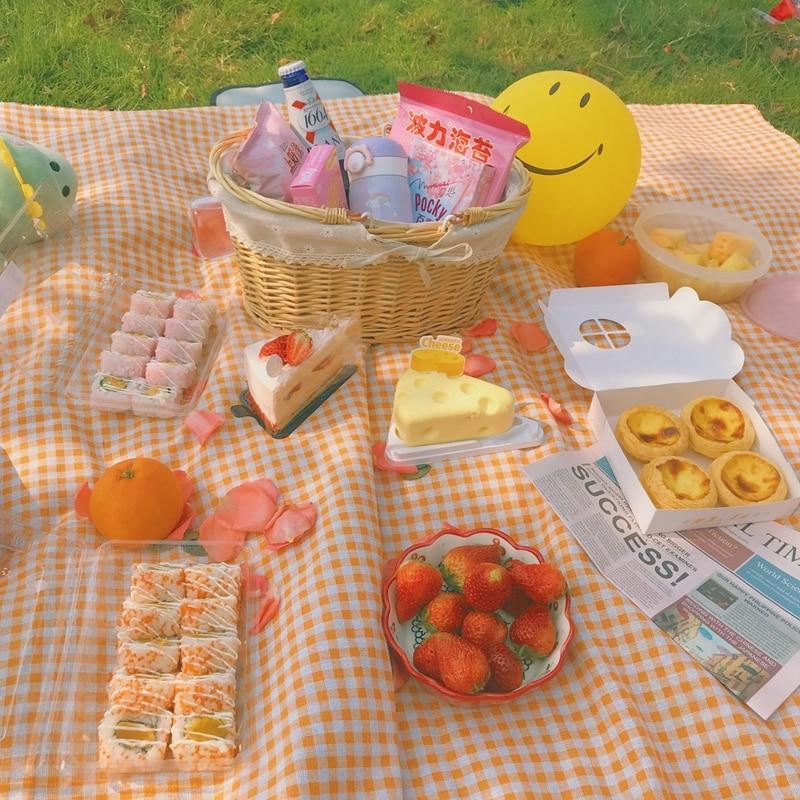 Clementine Gingham Picnic Blanket