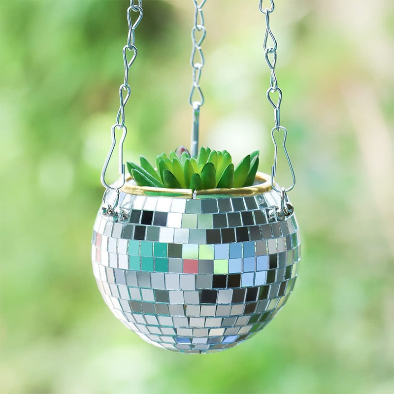 Disco Ball Plant