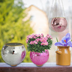 Disco Ball Plant