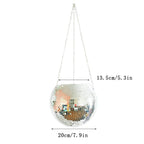 Disco Ball Plant