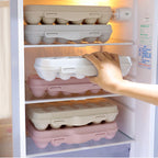 Modern Egg Tray Storage