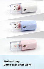USB Cartoon Animal Rechargeable Mini Face Steamer