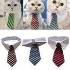 Sugar & Cotton's Famous Pet Neckties
