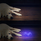 HiLight - LED UV Detection Flash Light