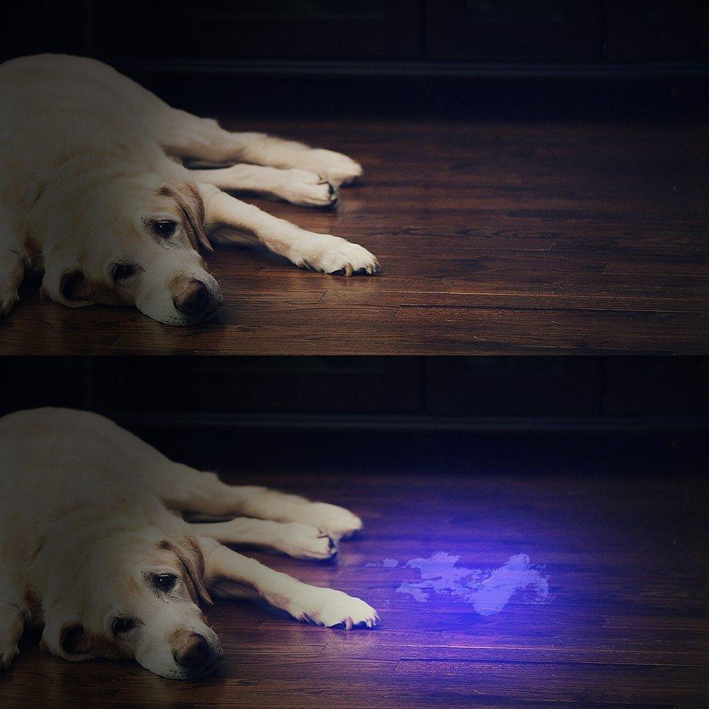 HiLight - LED UV Detection Flash Light