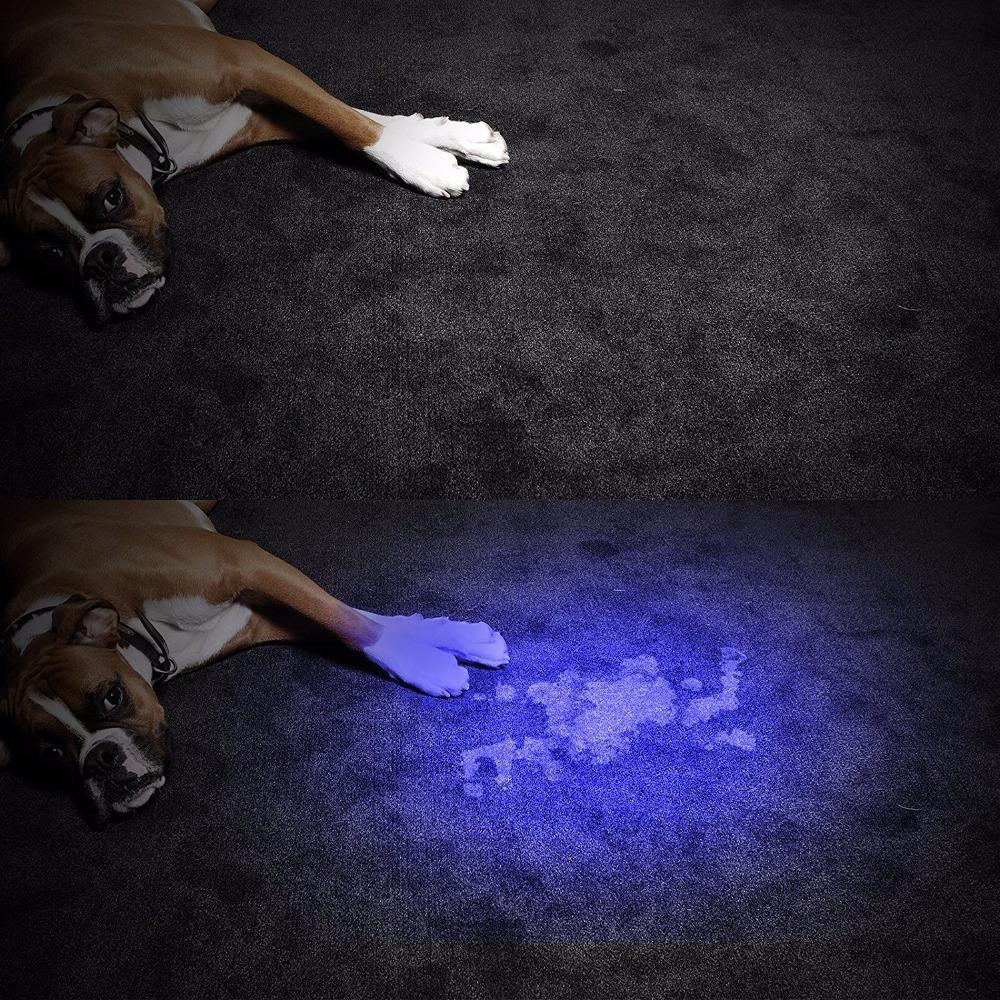 HiLight - LED UV Detection Flash Light
