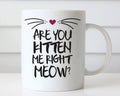 Are you kitten me right now Ceramic Mug