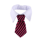 Sugar & Cotton's Famous Pet Neckties
