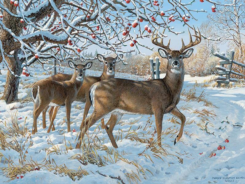Snowfall on Reindeer - GemPaint Kit