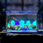 Glow In The Dark Pebbles