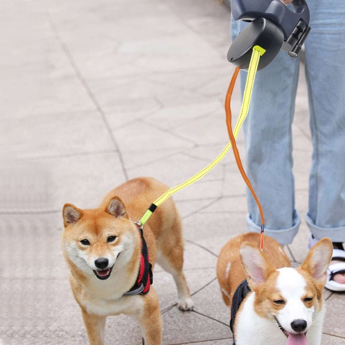 PROPET DUO – Dual Retractable Dog Leash with LED Flashlight