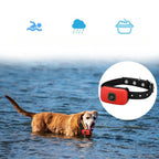 ProTrainer - Dog Training Collar