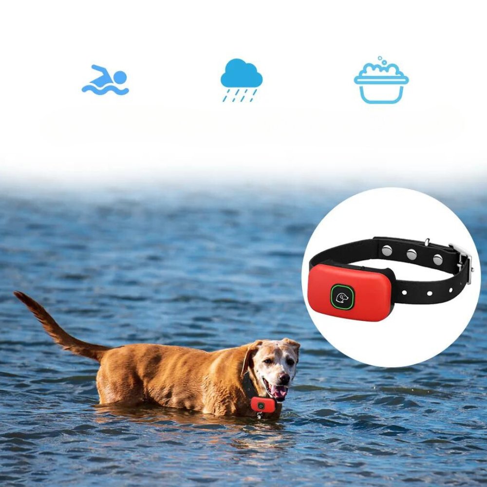 ProTrainer - Dog Training Collar