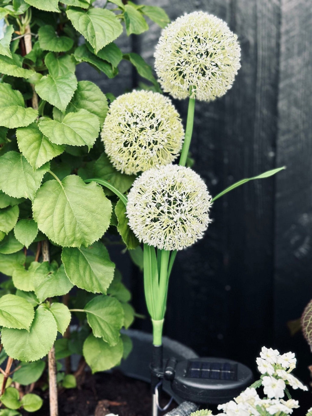 SolarBloom – Magical light for your garden