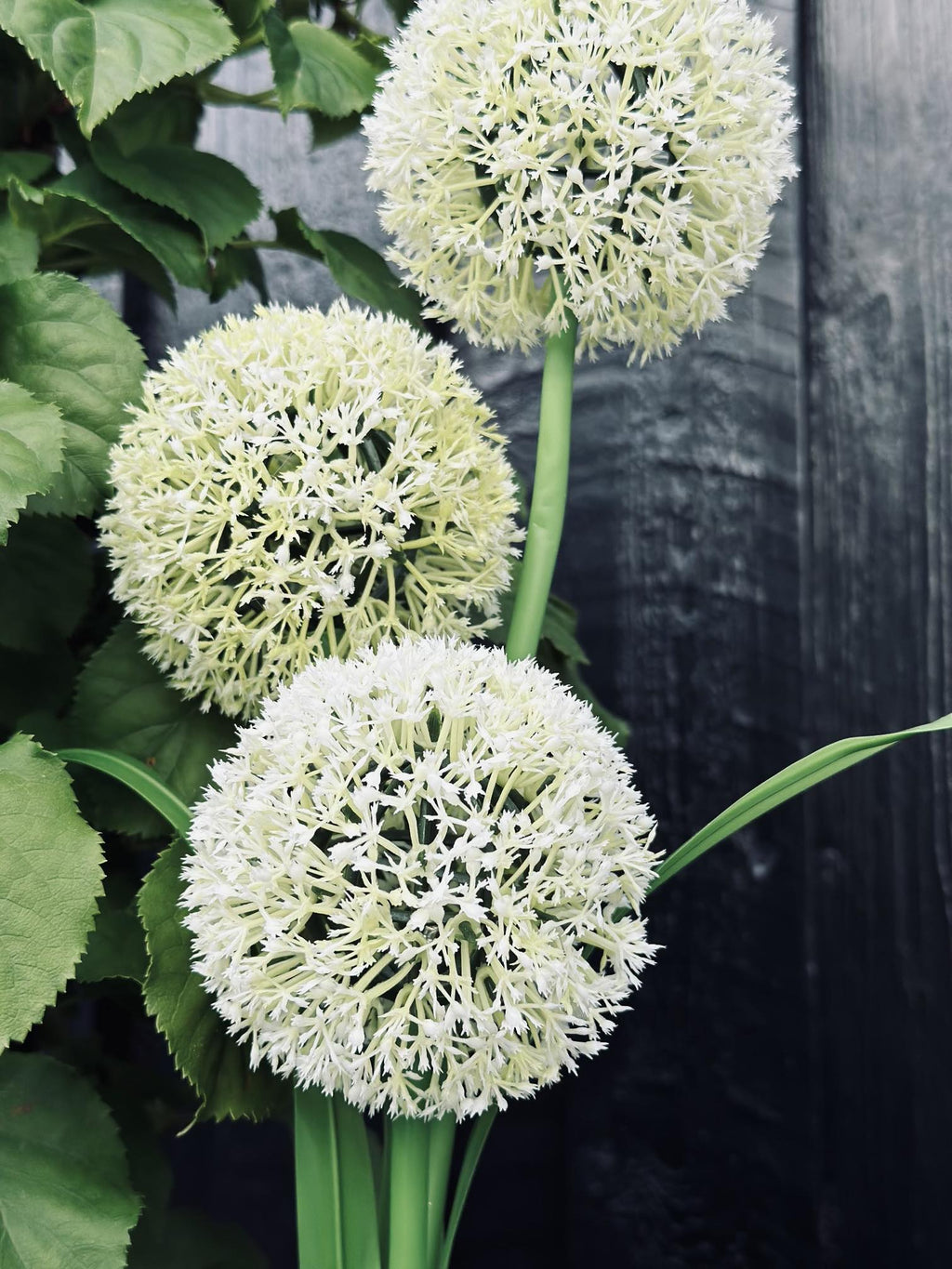 SolarBloom – Magical light for your garden