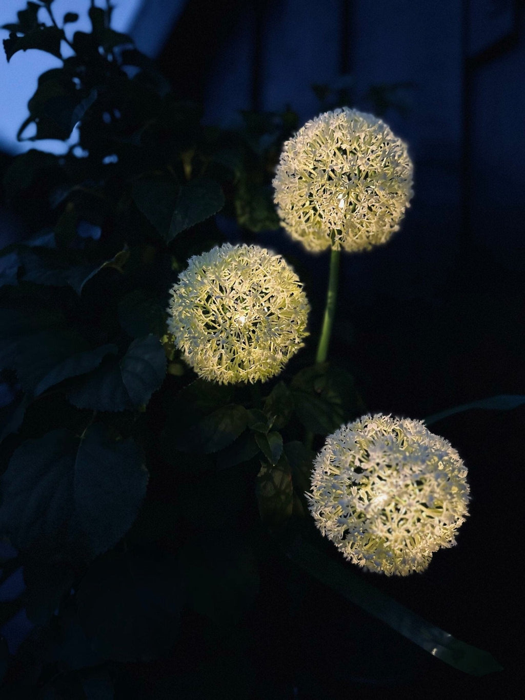 SolarBloom – Magical light for your garden