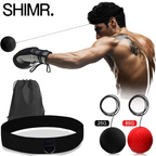 PunchPro Reflex Ball for Boxing Training